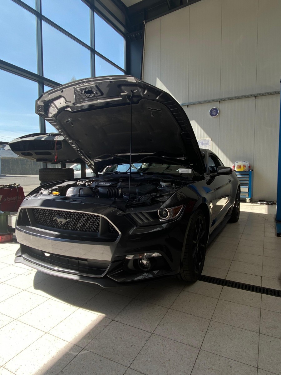 Ford Mustang