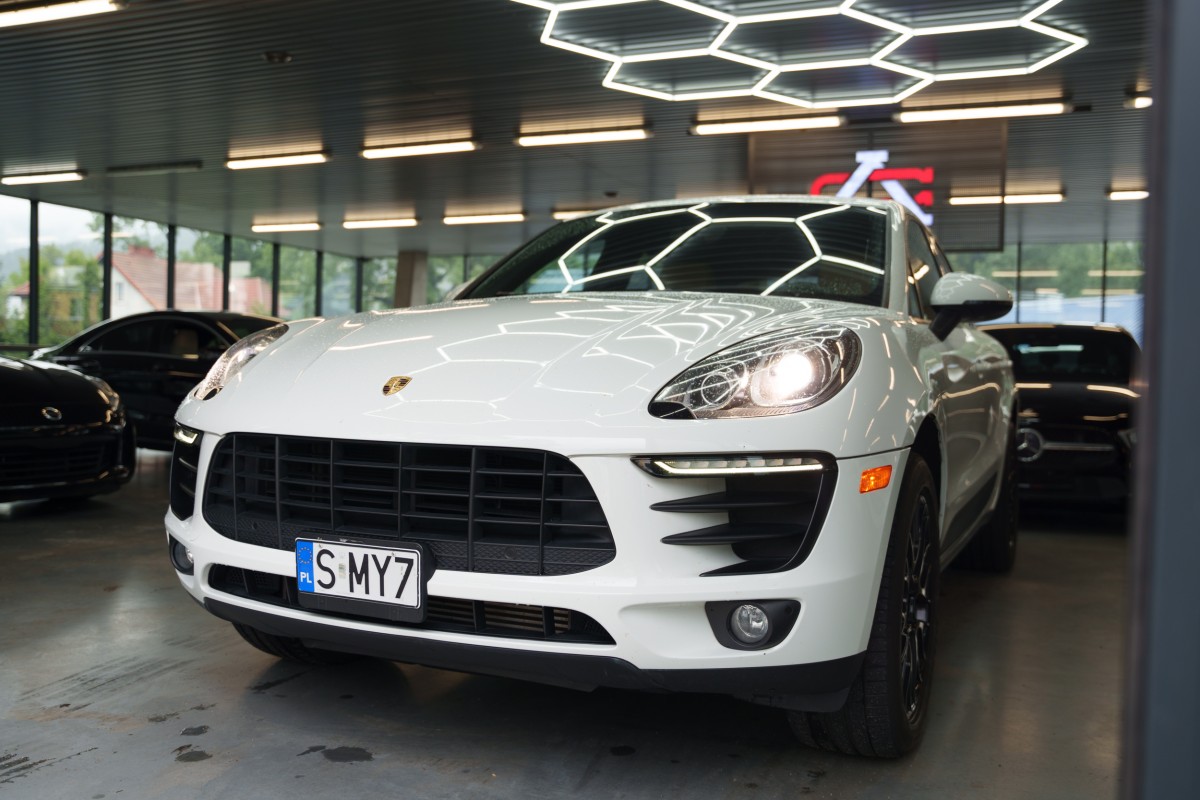 macan-62