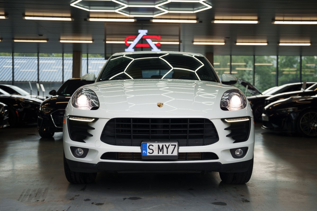 macan-63