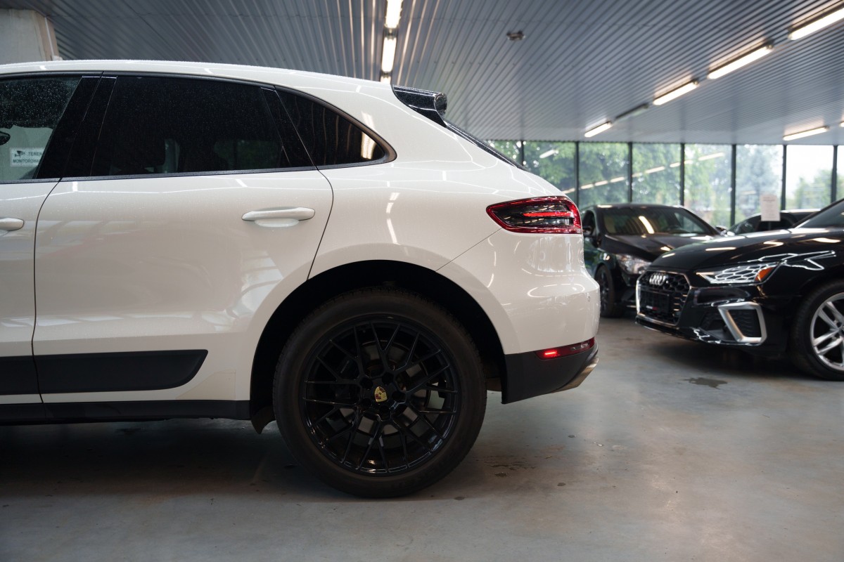 macan-11