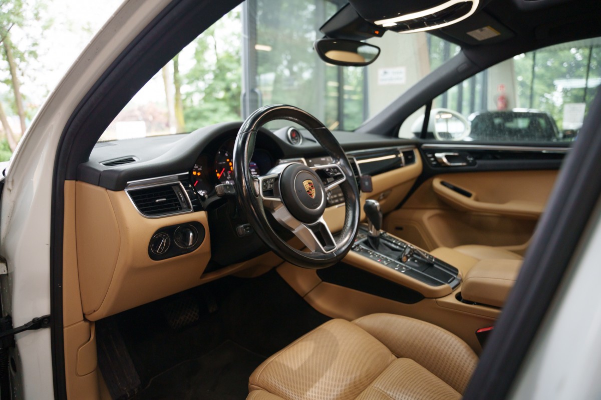 macan-29