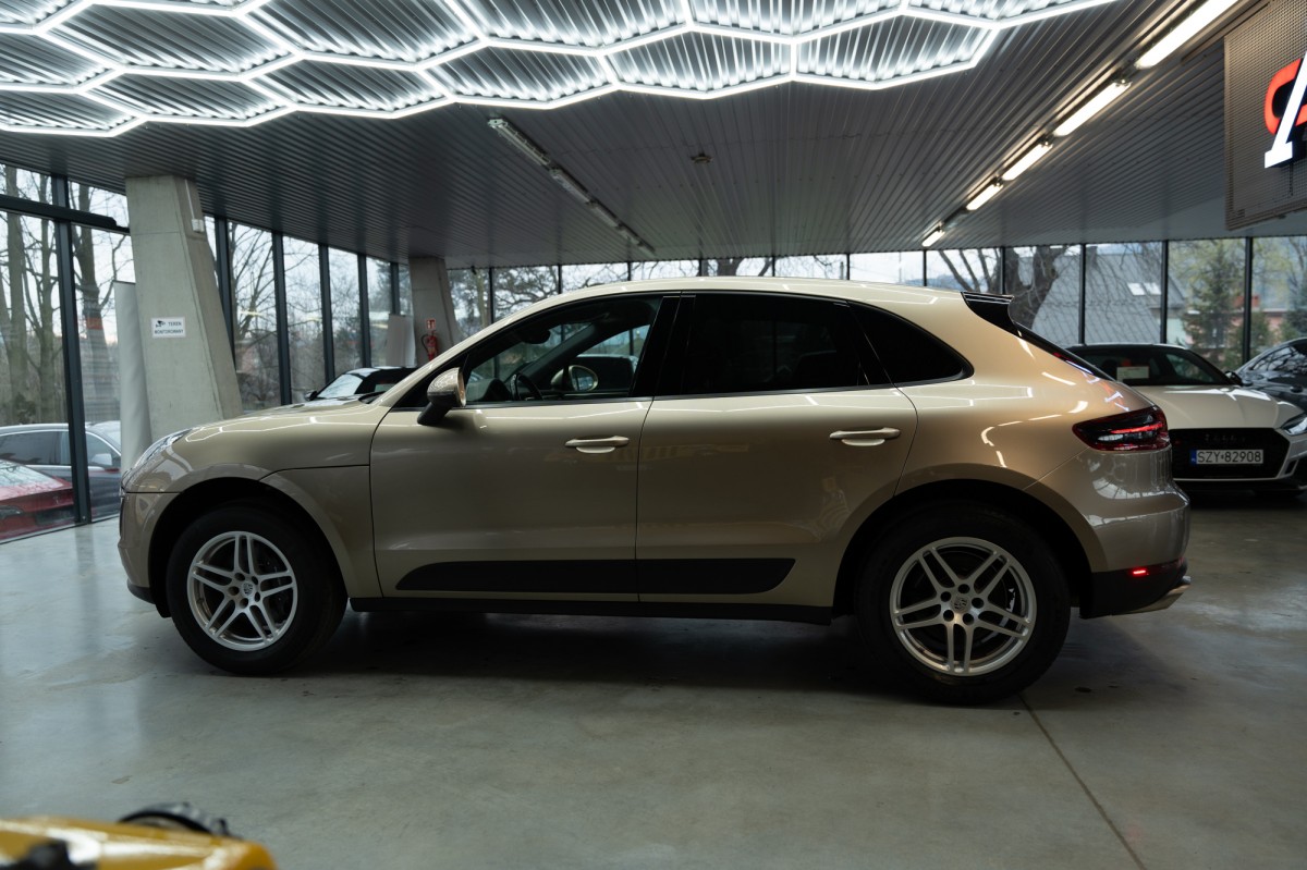 macan-16