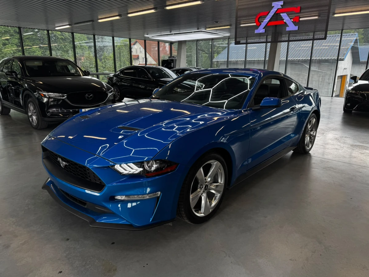 mustang 1