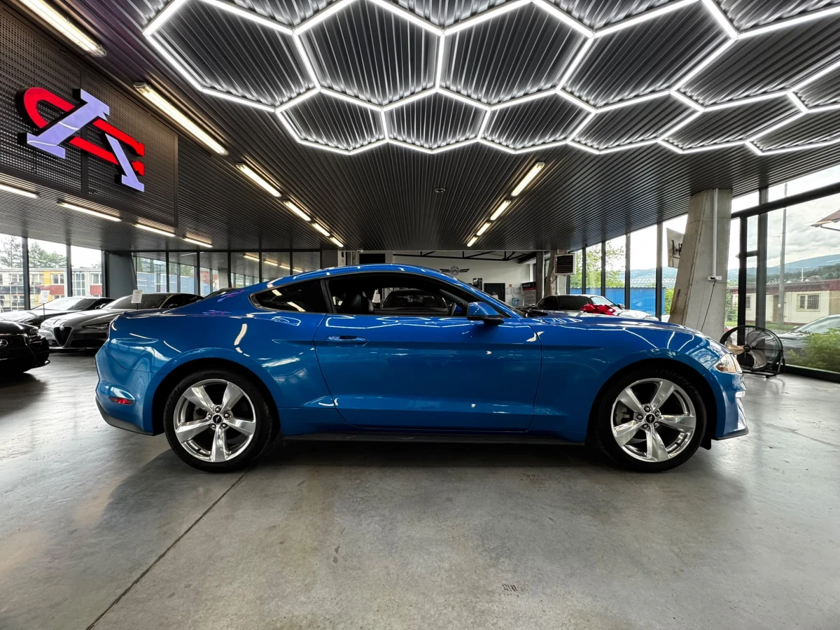 mustang 3